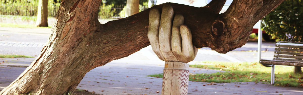 Close up picture of a tree trunk that appears to have almost fallen down, so that the branch coming off it is almost horizontal with the ground.  A vertical wooden sculpture of a forearm with a large open hand has been positioned so that it appears to be supporting one of the low branches of the tree. 